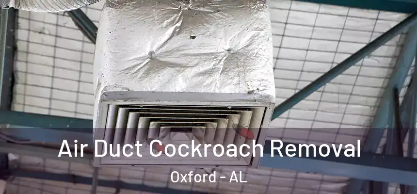 Air Duct Cockroach Removal Oxford - AL