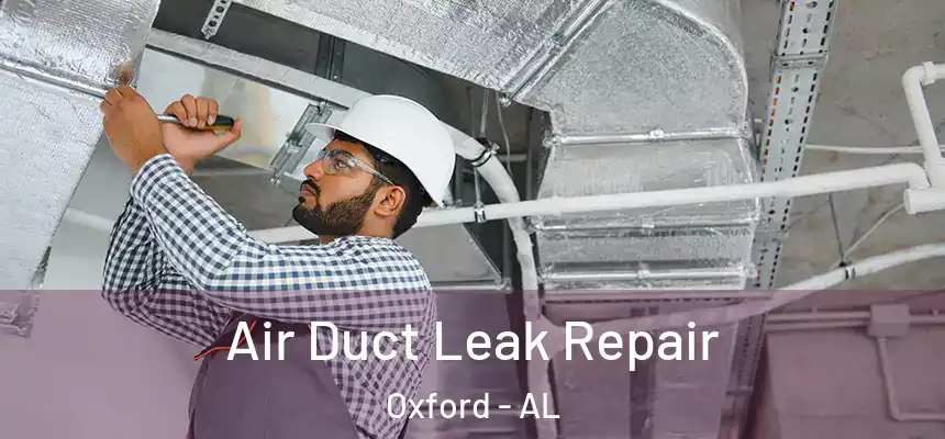 Air Duct Leak Repair Oxford - AL