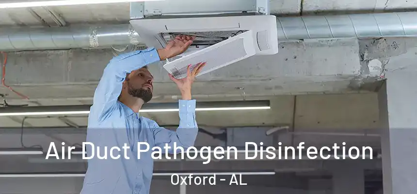  Air Duct Pathogen Disinfection Oxford - AL