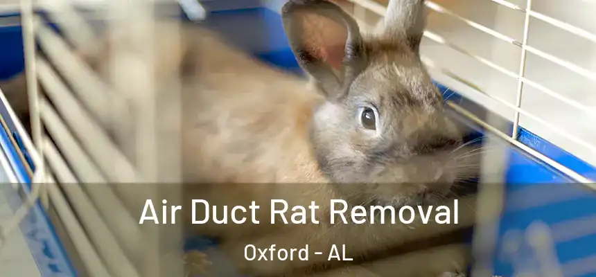 Air Duct Rat Removal Oxford - AL
