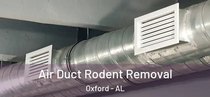  Air Duct Rodent Removal Oxford - AL