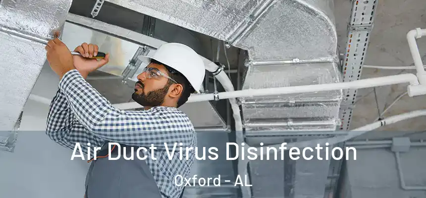 Air Duct Virus Disinfection Oxford - AL