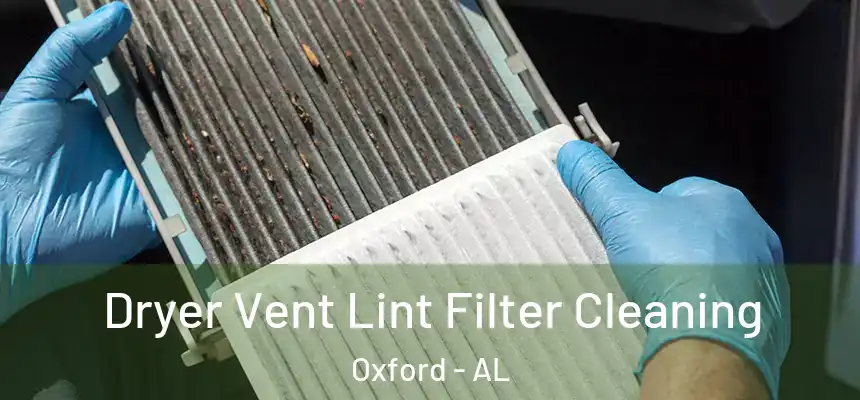  Dryer Vent Lint Filter Cleaning Oxford - AL