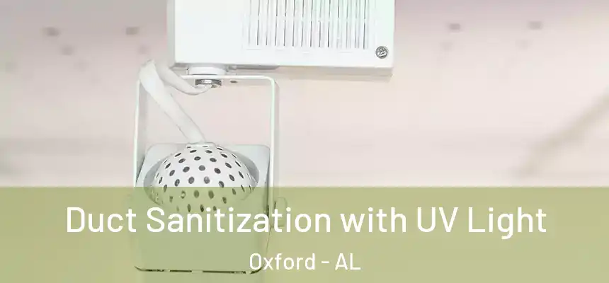  Duct Sanitization with UV Light Oxford - AL