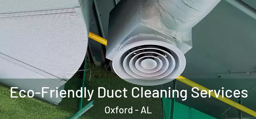  Eco-Friendly Duct Cleaning Services Oxford - AL