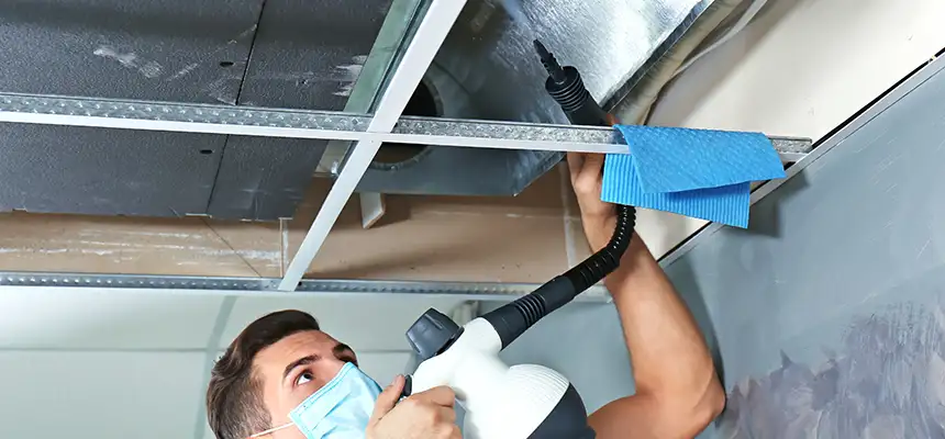 Our Air Duct Rodent Removal Services in Oxford, AL