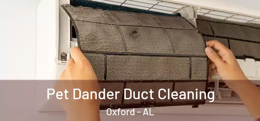  Pet Dander Duct Cleaning Oxford - AL