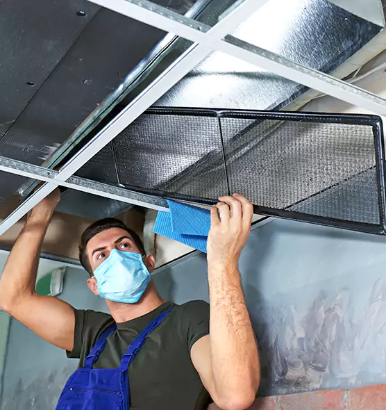 Professional Air Duct Pollen Cleaning in Oxford, AL