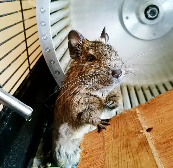 Why Homeowners & Businesses Trust Us Oxford, AL